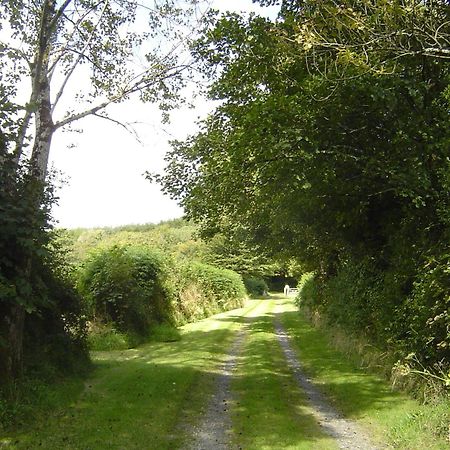 Holdstrong Farmhouse Lydford Kültér fotó