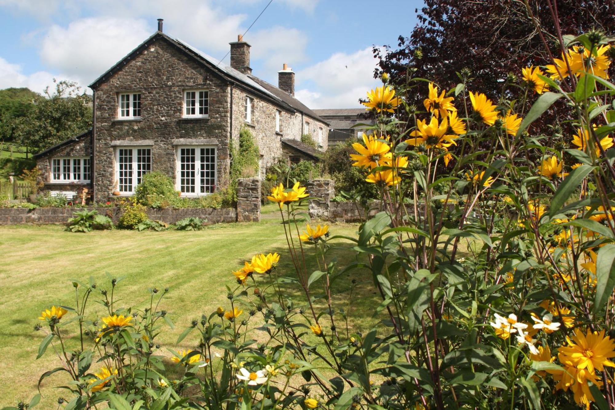 Holdstrong Farmhouse Lydford Kültér fotó